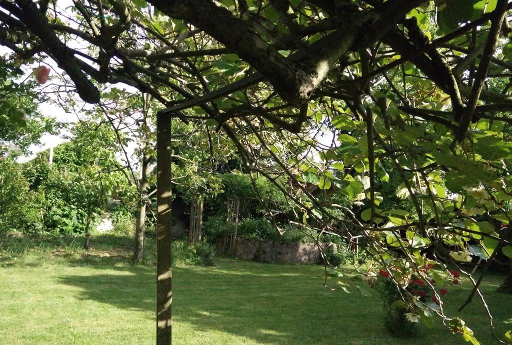 Gentil'Home - Toulouse B&B Prestige Fenouillet  Esterno foto